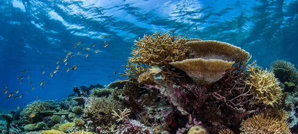 Technical Diving in Thailand